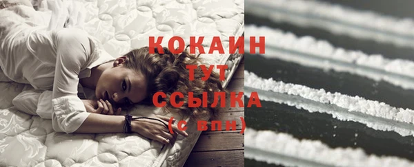 кокс Няндома