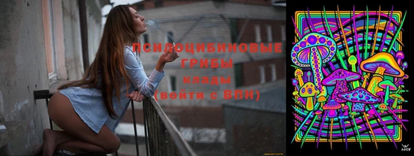 эйфоретик Новокубанск